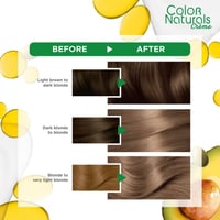 غارنييه ناتشرلز صبغة شعر أشقر رمادي عميق 7.11