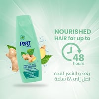 برت بلاس شامبو بخلاصة الزنجبيل - 200 مل