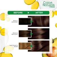 غارنييه ناتشرلز صبغة شعر بني فاتح 5