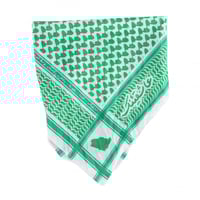 بندانا عاشقينك