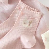 مجموعة جوارب