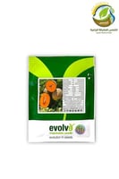 بذور شمام هلما F1 هجين 1000بذرة