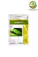 باكيت بذور كوسة سالين F1 هجين 500 بذرة