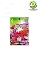ورود قرنفل باكيت