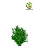 بذور شبت مصري هجين نسبة الانبات 88% 1 كيلو