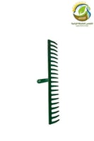 خراشة 20 سن اخضر