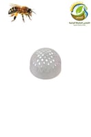 حاجز ملكة النحل كروي بلاستيك