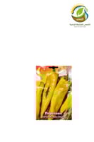 بذور فلفل اصفر مخروطي حلو اللب