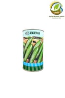 بذور خيار هجين 50جرام امريكي