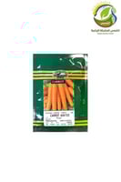 بذور جزر امريكي 10جرام