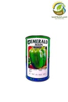 بذور فلفل رومي امريكي 400جرام