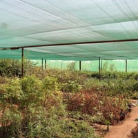 شبك الجزيرة 3×50×60%