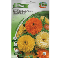 بكيت بذور اذريون