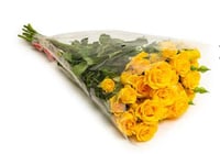 بيبي روز اصفر 10 اغصان