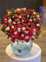 فازه روز أكوا | Rose Aqua