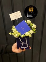 تنسيق براند مع ورد بيبي روزبدون هديه