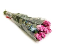 جوري دبل موف 10 اغصان