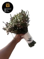 مسكه باكسسوار الواكس الطبيعي