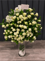 فازه Viva Vase | فيفا فازه