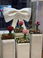 بكج توتي بلوم