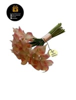 مسكه بورد الكالا الصناعي