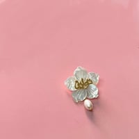 بروش ورده صدف طبيعي +حبه لولو