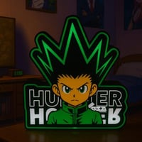 اضائة هانتر انمي