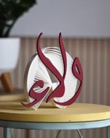 اسماء 3D مخصص لاستقبال المواليد و الحفلات