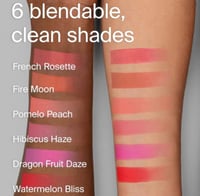 Haus labs powder blush