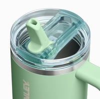 Stanley pistachio tumbler-30oz