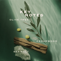 Orabella perfume-10ml