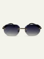 IRIS ( طلب مسبق )