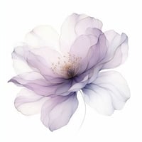 دار فيولا