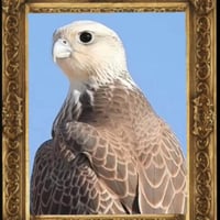 كوكب العالم