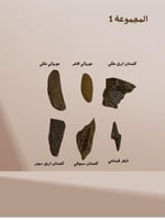 المجموعه 1