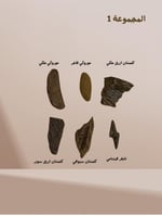 المجموعه 1