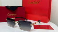 نظارات كارتييه (Cartier) مع الملحقات.