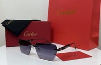نظارات كارتييه (Cartier) مع الملحقات.