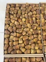 مفتل حبة كبيرة