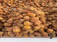 نوادر السكري