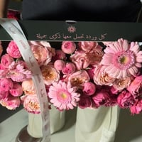 بوكس بتلة بنك