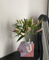 فازة ليليوم طبيعي