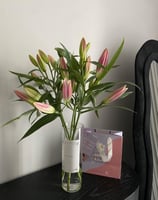 فازة ليليوم طبيعي