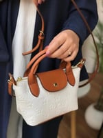 شنطة لويس فيتون