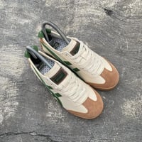 تايجر من اسيكس