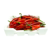 فلفل حار حلو أحمر - فلين صغير