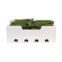 خيار فلين كبير