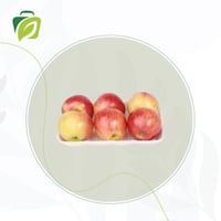 صحن تفاح احمر طازج