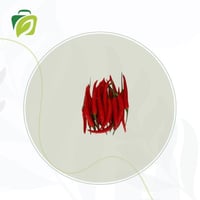 فلفل حار حلو أحمر - صحن