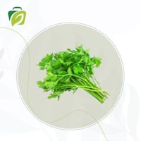 بقدونس - حزمة واحدة